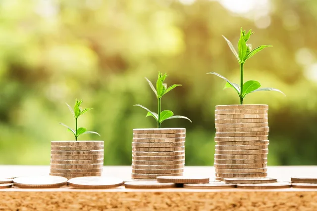 money, profit, finance, business, return, yield, financial, cash, currency, investment, banking, wealth, coin, economy, success, loan, salary, rich, credit, payment, savings, save, deposit, growth, income. Loyalty benchmarks: how to check one before you reuse it